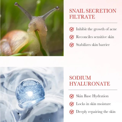 Snail Face Serum (SFS-01)